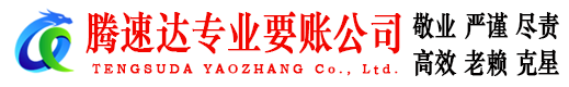 日照清债公司
